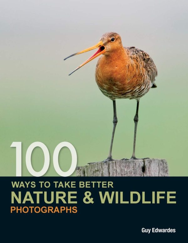 100 Ways to Take Better Nature & Wildlife Photographs [Paperback] Edwardes, Guy