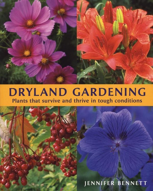 Dryland Gardening: Plants that Survive and Thrive in Tough Conditions Bennett, Jennifer