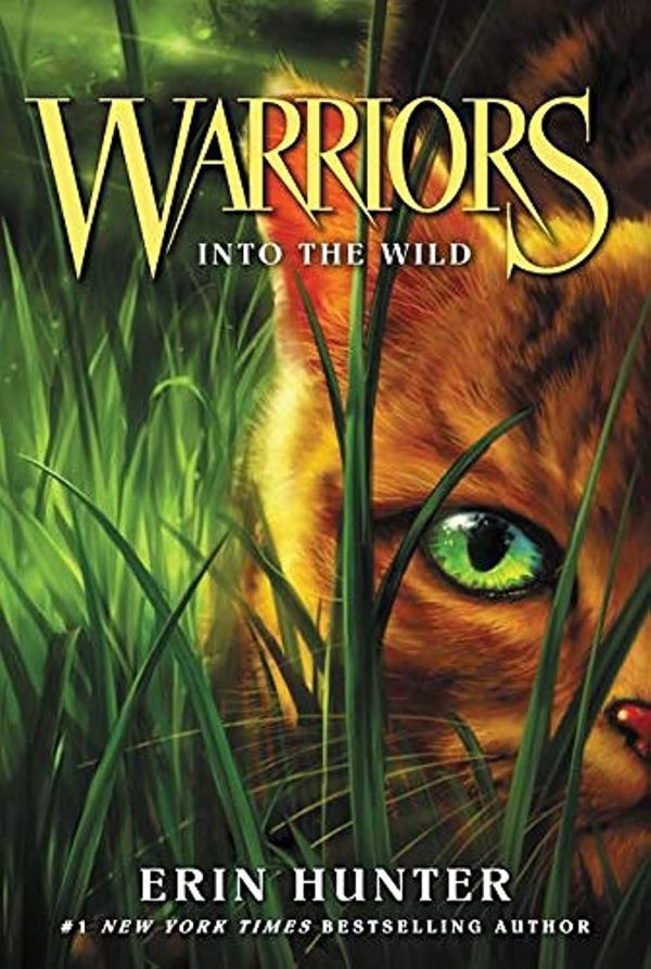 Warriors #1: Into the Wild (Warriors: The Prophecies Begin, 1) [Paperback] Hunter, Erin and Stevenson, Dave