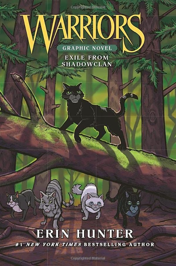 Warriors: Exile from ShadowClan (Warriors Graphic Novel) [Paperback] Hunter, Erin