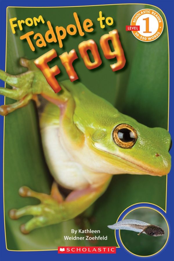 From Tadpole to Frog (Scholastic Reader, Level 1) [Paperback] Zoehfeld, Kathleen Weidner