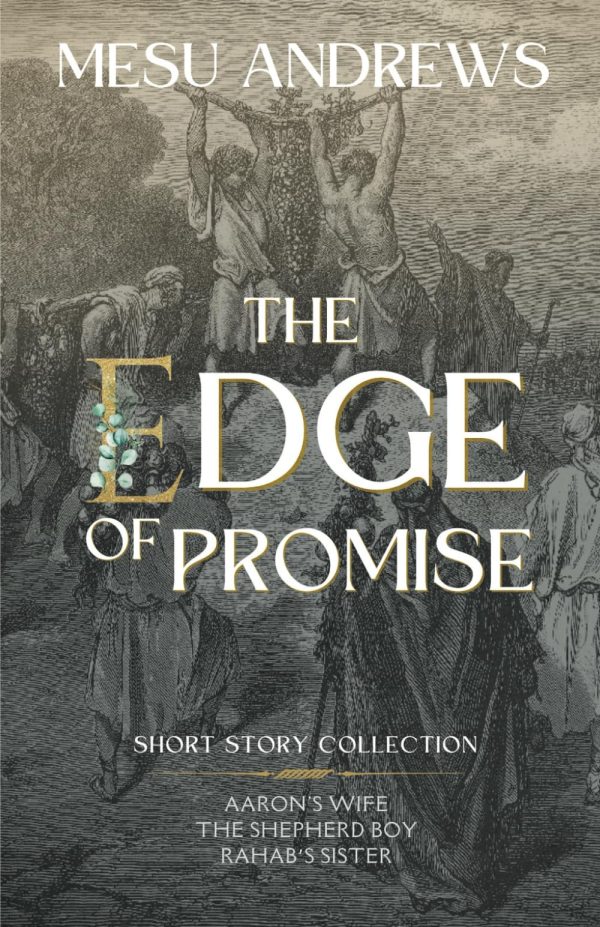 The Edge of Promise: Short Story Collection [Paperback] Andrews, Mesu