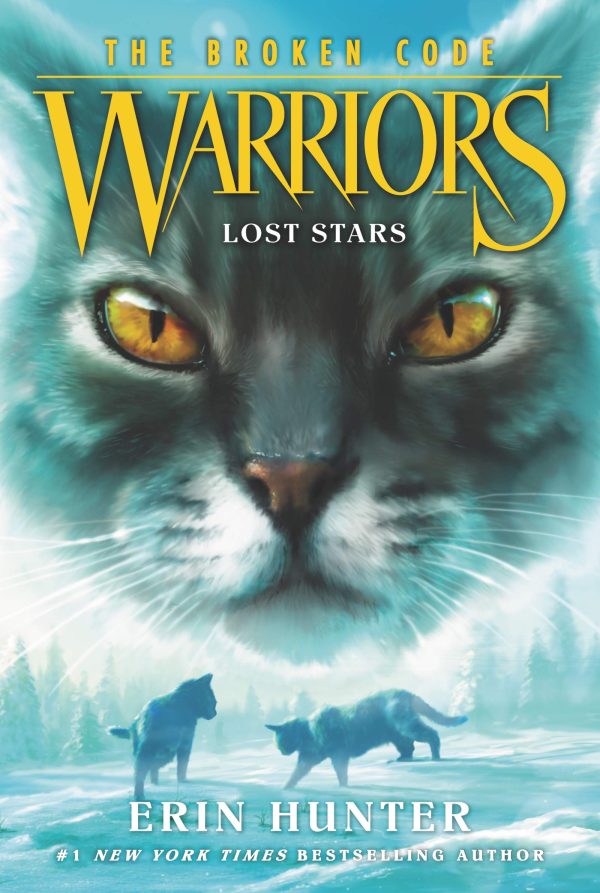 Warriors: The Broken Code #1: Lost Stars [Paperback] Hunter, Erin