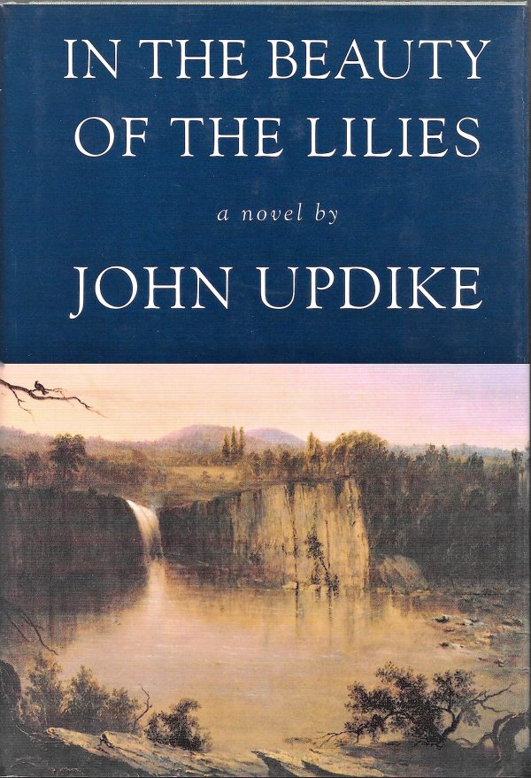 In the Beauty of the Lilies Updike, John