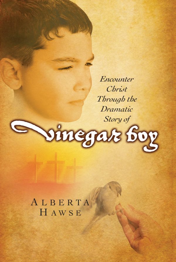 Vinegar Boy: Encounter Christ Through the Dramatic Story of Vinegar Boy [Paperback] Hawse, Alberta