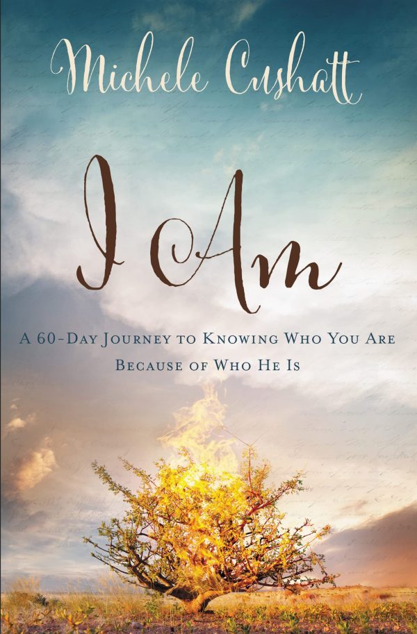 I Am: A 60-Day Journey to Knowing Who You Are Because of Who He Is [Paperback] Cushatt, Michele