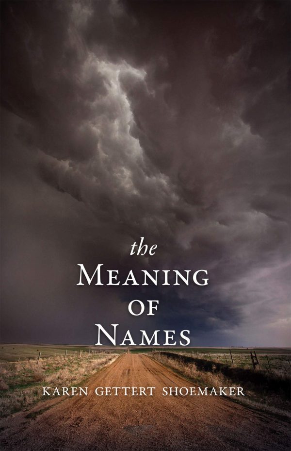 The Meaning of Names [Paperback] Shoemaker, Karen