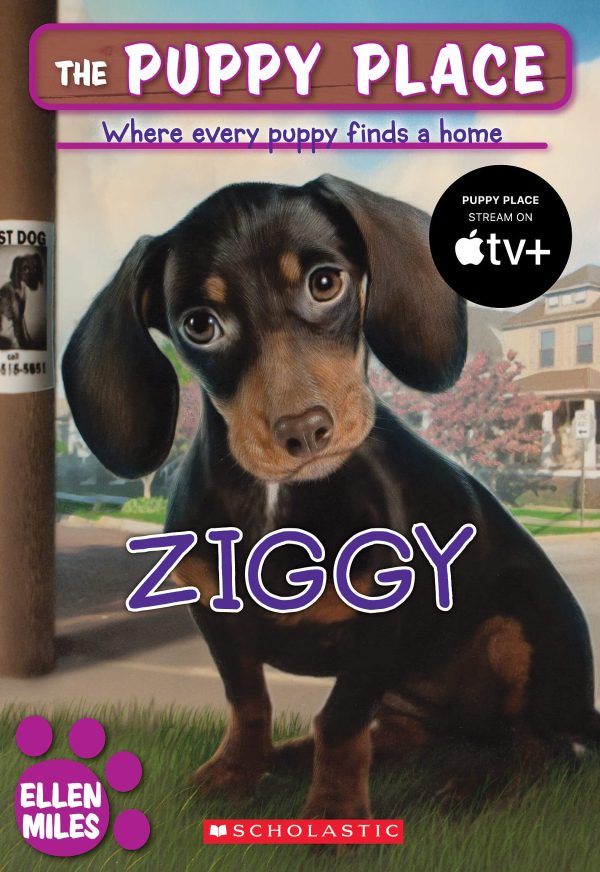 Ziggy (The Puppy Place #21) [Paperback] Miles, Ellen