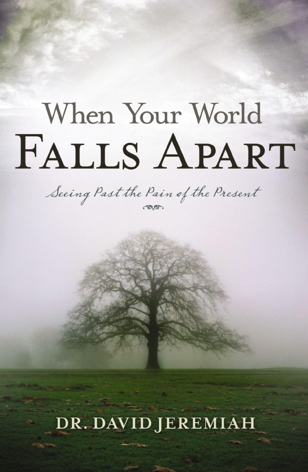 When Your World Falls Apart: See Past the Pain of the Present [Paperback] Jeremiah, Dr. David