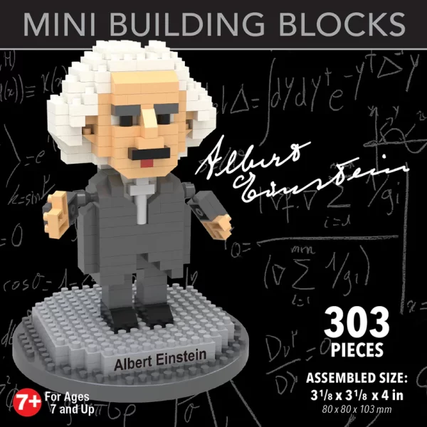 Einstein Mini Building Blocks (303 Pieces)