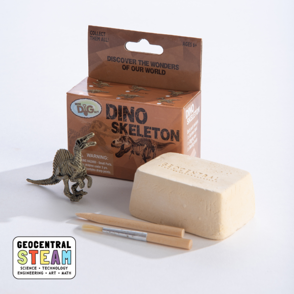 Mini Dig Kit: Dino Skeletons