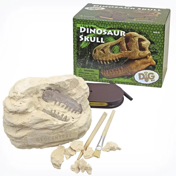 Dinosaur Skull Dig