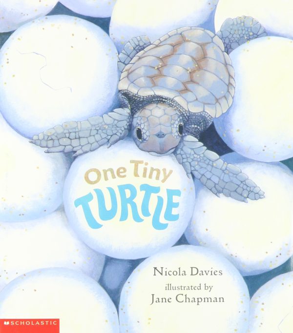 One Tiny Turtle [Paperback] Nicola Davies and Jane Chapman