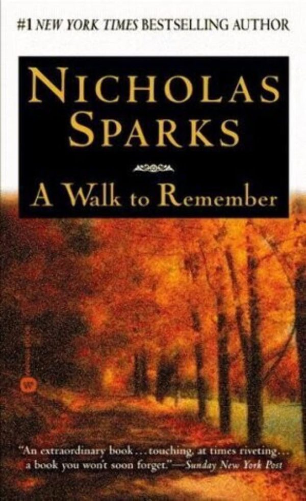 A Walk to Remember Sparks, Nicholas