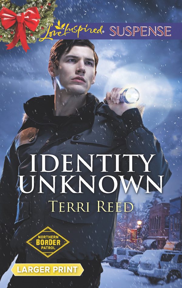 Identity  (Northern Border Patrol, 5) [Mass Market Paperback] Reed, Terri