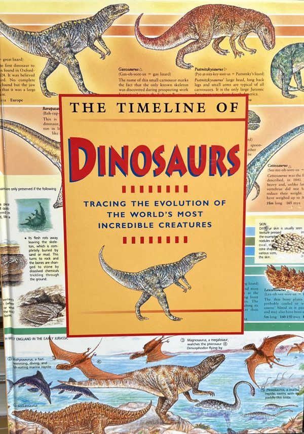 The Timeline of Dinosaurs: Tracing the Evolution of the Most Incredible Creatures Budget Book Service