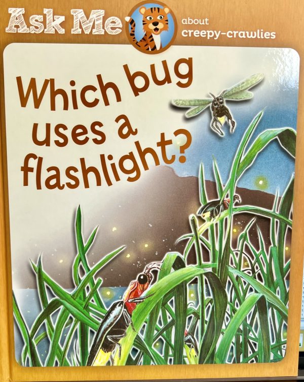 Which Bug Uses a Flashlight? (Ask Me About Creepy Crawlies)