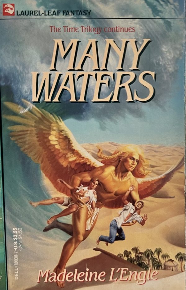 Many Waters by Madeleine L'Engle