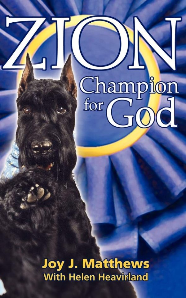 Zion: Champion for God [Paperback] Matthews, Joy J and Heavirland, Helen