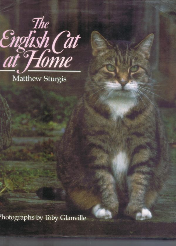 The English Cat at Home Sturgis, Matthew and Glanville, Toby