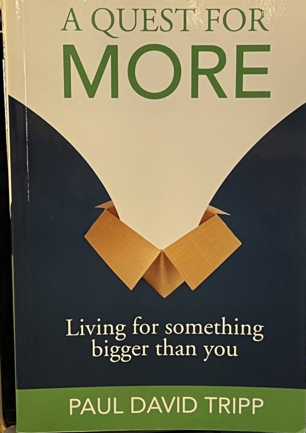 A Quest For More: Living For Something Bigger Than You [Paperback] Paul David Tripp