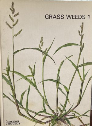 Grass Weeds 1