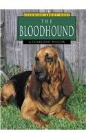 The Bloodhound (Learning About Dogs) Wilcox, Charlotte