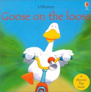 Goose on the Loose (Phonics Board Books) [Board book] Cox, Phil Roxbee; Tyler, Jenny and Cartwright, Stephen