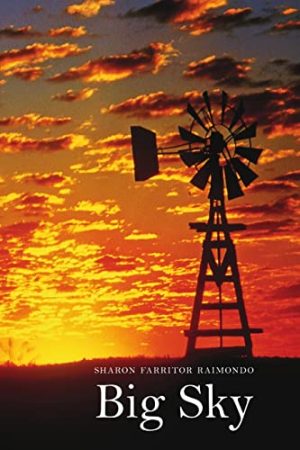 Big Sky pb [Paperback] Farritor Raimondo, Sharon