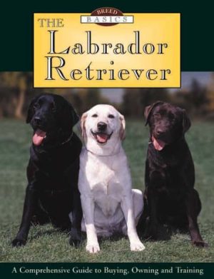 The Labrador Retriever : A Comprehensive Guide to Buying, Owning, and Training (Breed Basics, 1) Smith, Steve