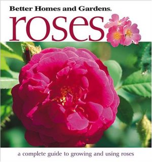 Roses Lewis, Eleanore