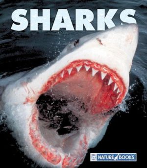 Sharks (New Naturebooks, 1264) Lopez, Gary