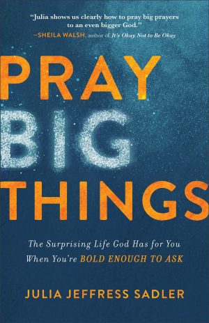 Pray Big Things: The Surprising Life God Has for You When You're Bold Enough to Ask [Paperback] Julia Jeffress Sadler LPC