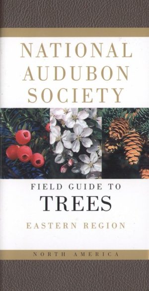 Audubon Society Field Guide to North American Trees: Eastern Region [Imitation Leather] National Audubon Society