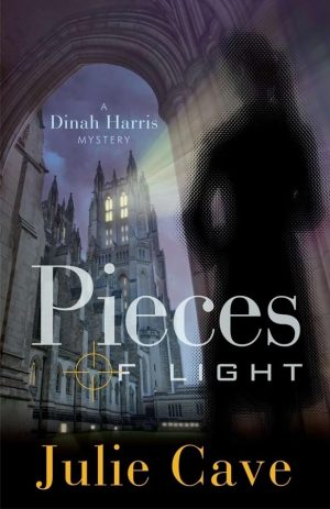Pieces of Light (Dinah Harris Mysteries, No. 3) [Paperback] Julie Cave