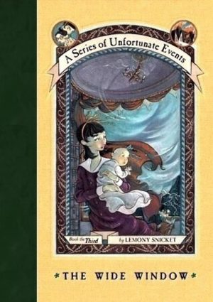 The Wide Window (A Series of Unfortunate Events) [Hardcover] Snicket, Lemony and Kupperman, Michael