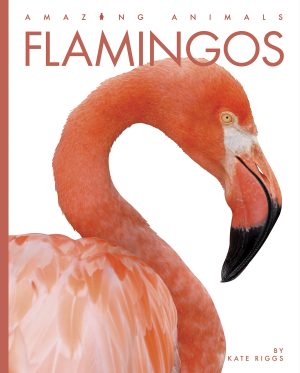 Flamingos (Amazing Animals) [Paperback] Riggs, Kate