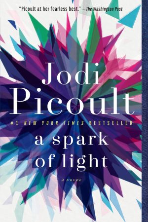 A Spark of Light: A Novel [Paperback] Picoult, Jodi