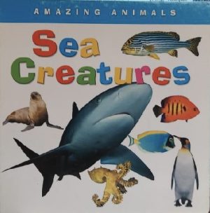 Sea Creatures Board Book