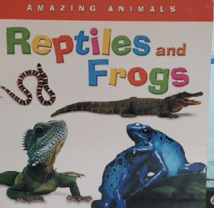 Reptiles and Frogs Board Book