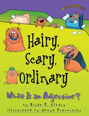 Hairy, Scary, Ordinary: What Is an Adjective? (Words Are CATegorical ®) [Paperback] Cleary, Brian P. and Prosmitsky, Jenya