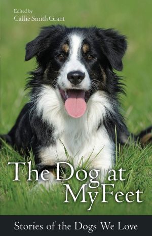 The Dog at My Feet: Stories of the Dogs We Love [Paperback] Grant, Callie Smith
