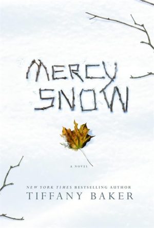 Mercy Snow: A Novel Baker, Tiffany