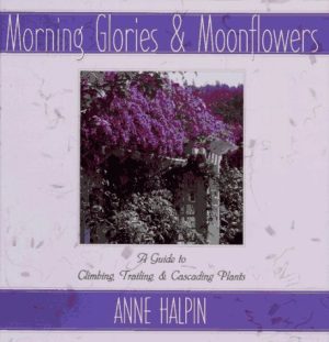 Morning Glories and Moonflowers: A Guide to Climbing, Trailing, and Cascading Plants Halpin, Anne