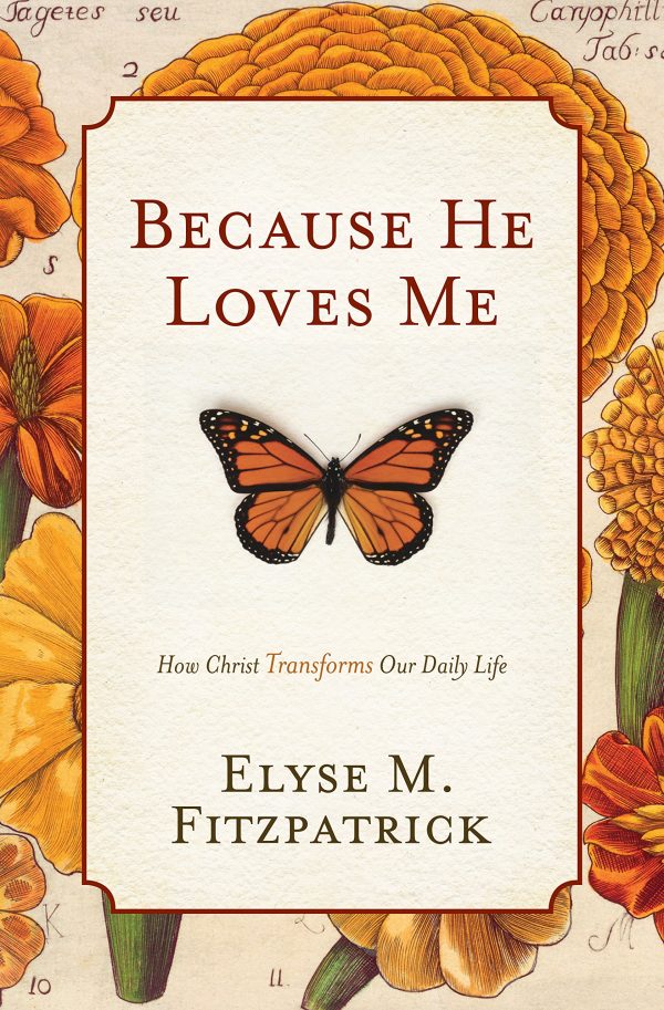 Because He Loves Me: How Christ Transforms Our Daily Life Fitzpatrick, Elyse M. and Hogan, Jody
