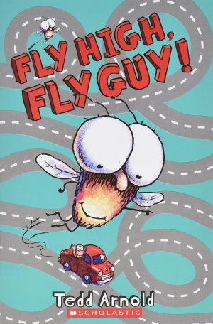 Fly High, Fly Guy! -- 2008 publication [Paperback] tedd-arnold