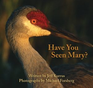 Have You Seen Mary? Kurrus, Jeff and Leonard, Keanna