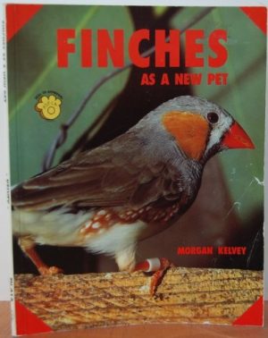 Finches As a New Pet Kelvey, Morgan