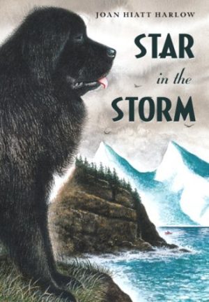 Star in the Storm [Paperback] Joan Hiatt Harlow