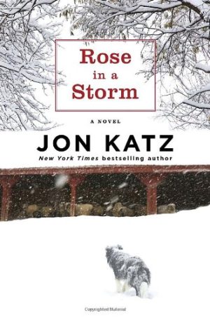 Rose in a Storm: A Novel Katz, Jon